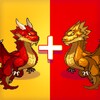 整点视频播放器